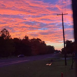 Meet your Posher, Lillie